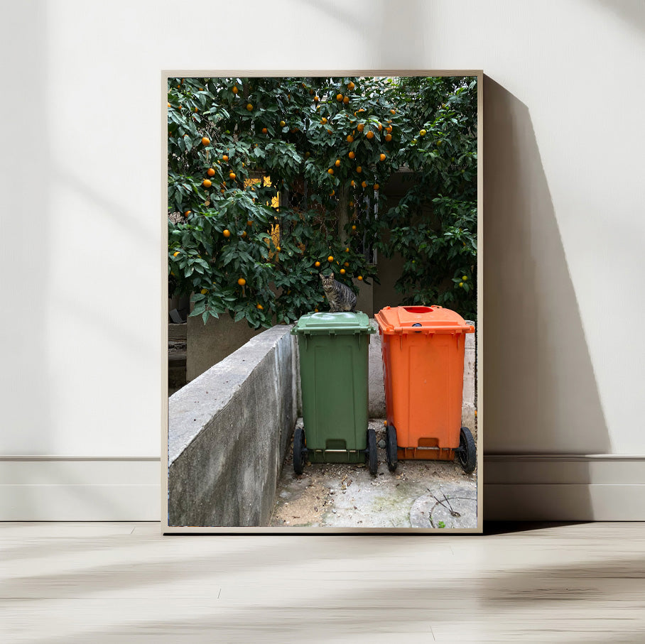 Garbage Boxes — Tel Aviv Photography Print
