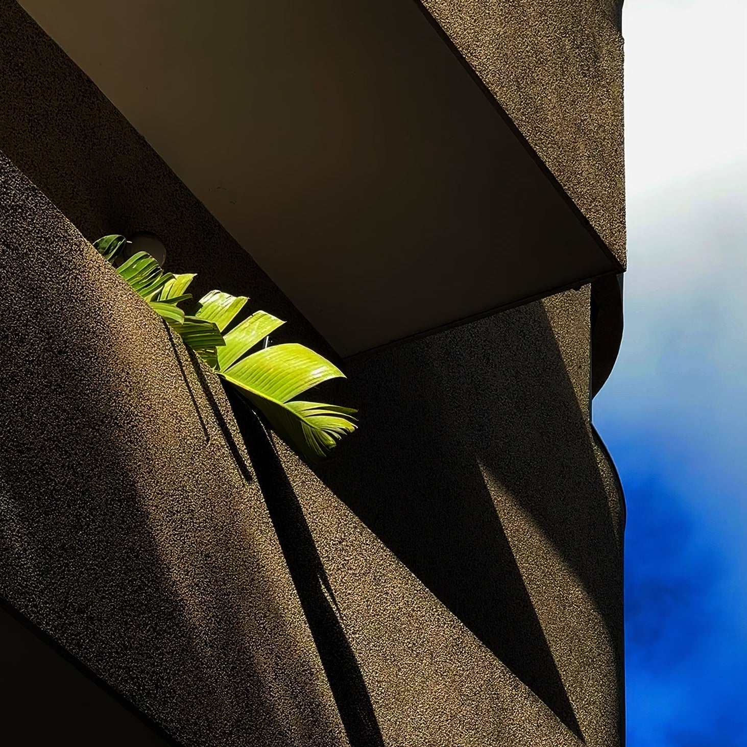 Bauhaus Bazoza House — Tel Aviv Photo Print — Israel Wall Art