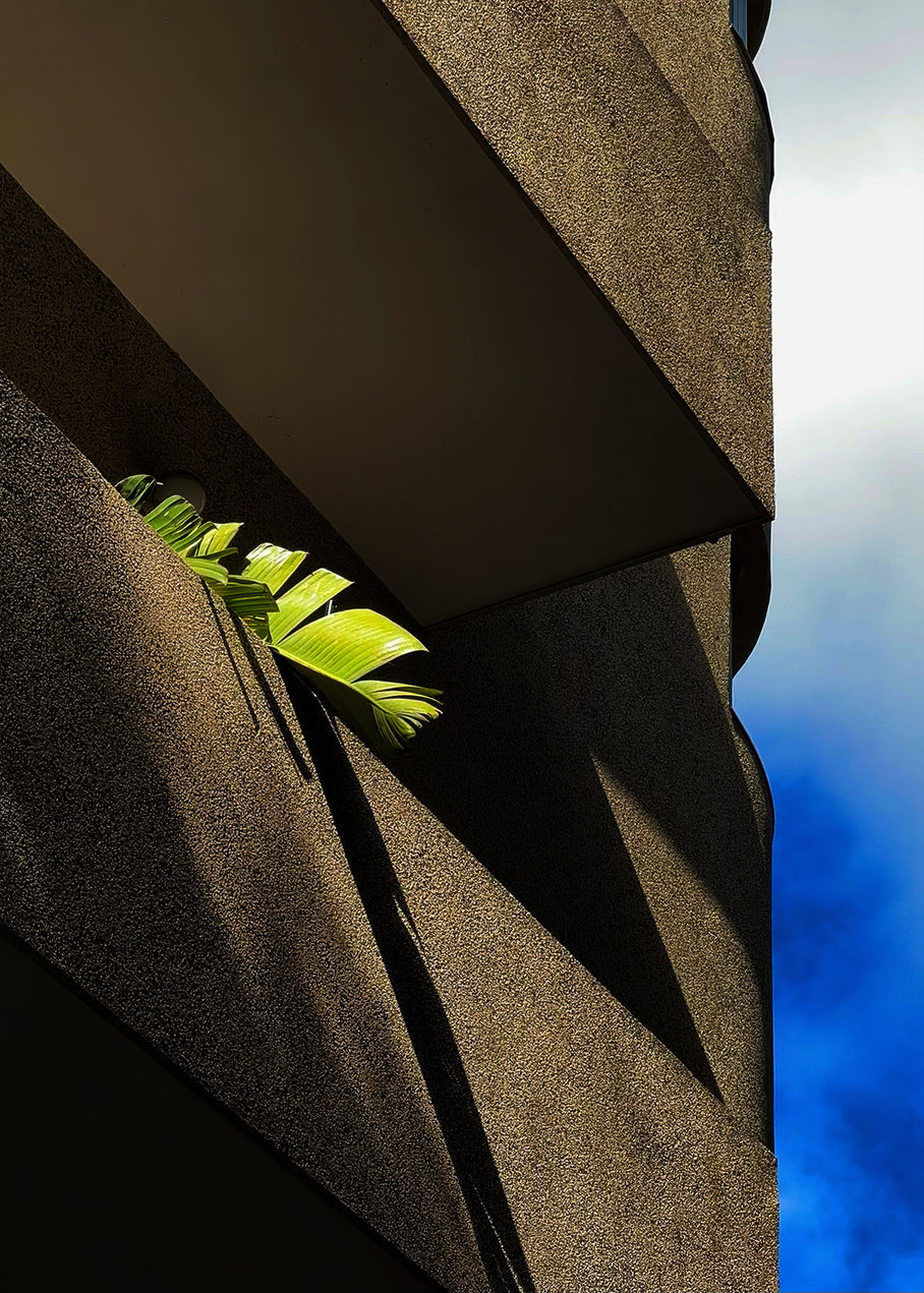 Bauhaus Bazoza House — Tel Aviv Photo Print — Israel Wall Art