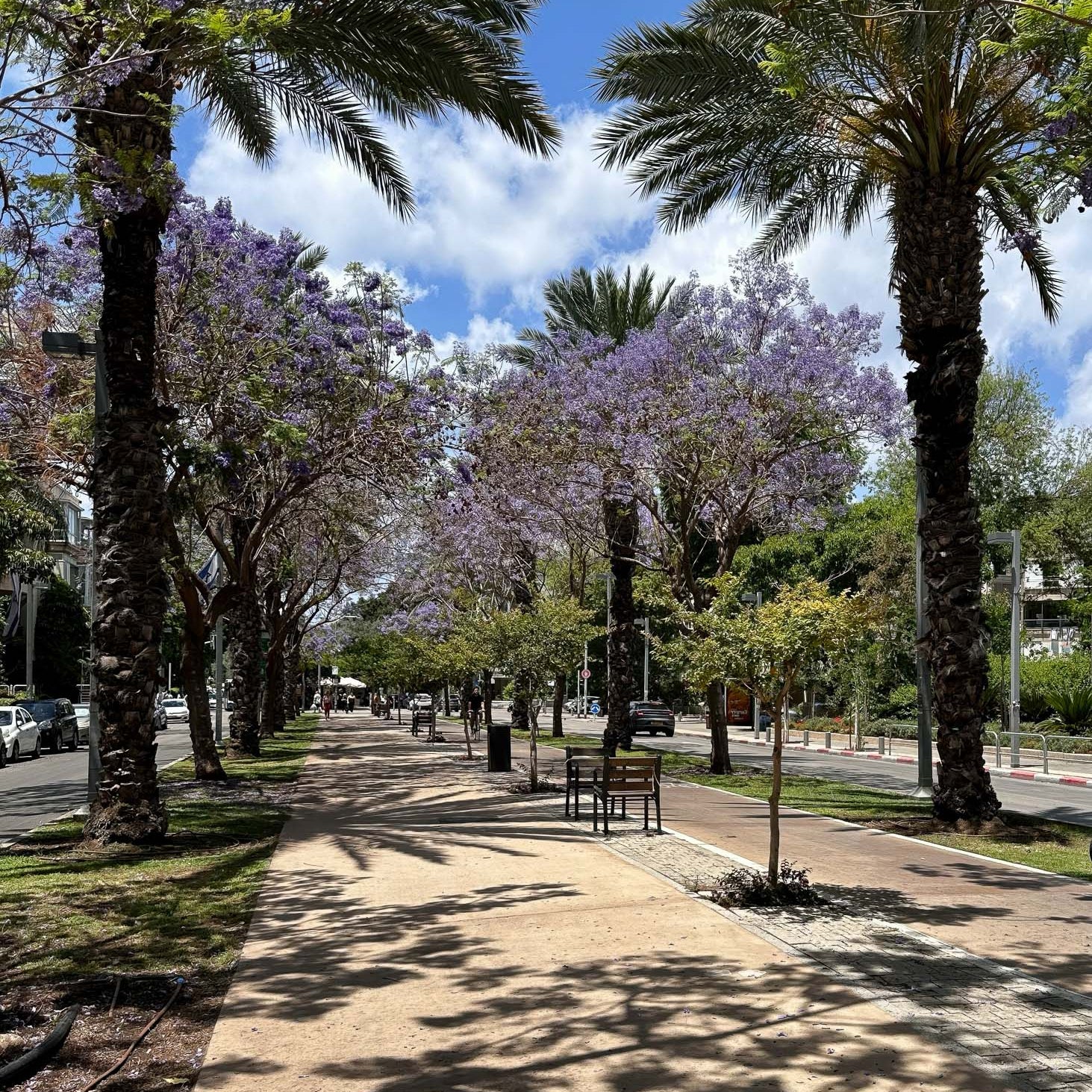  Ben Gurion Boulevard — Tel Aviv Photography Print