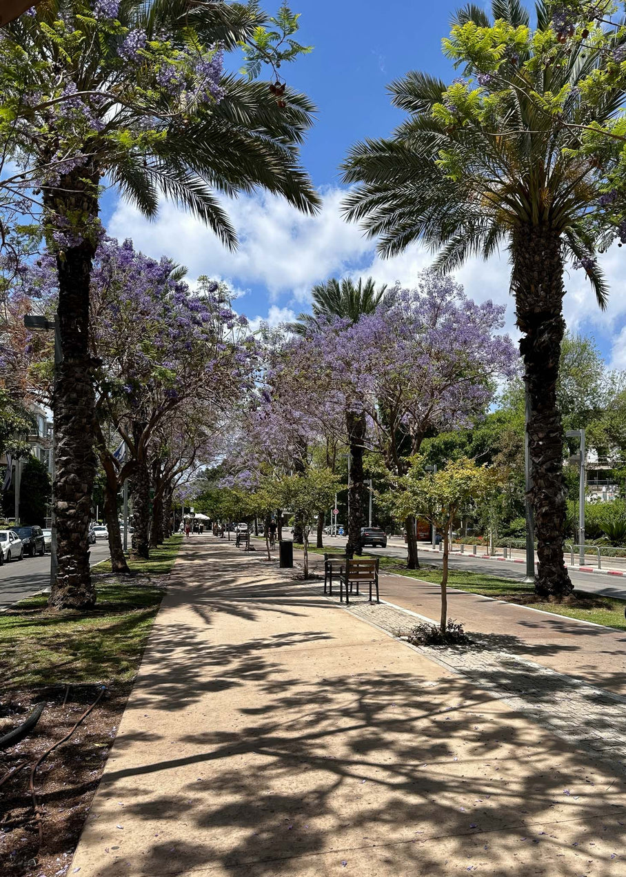  Ben Gurion Boulevard — Tel Aviv Photography Print