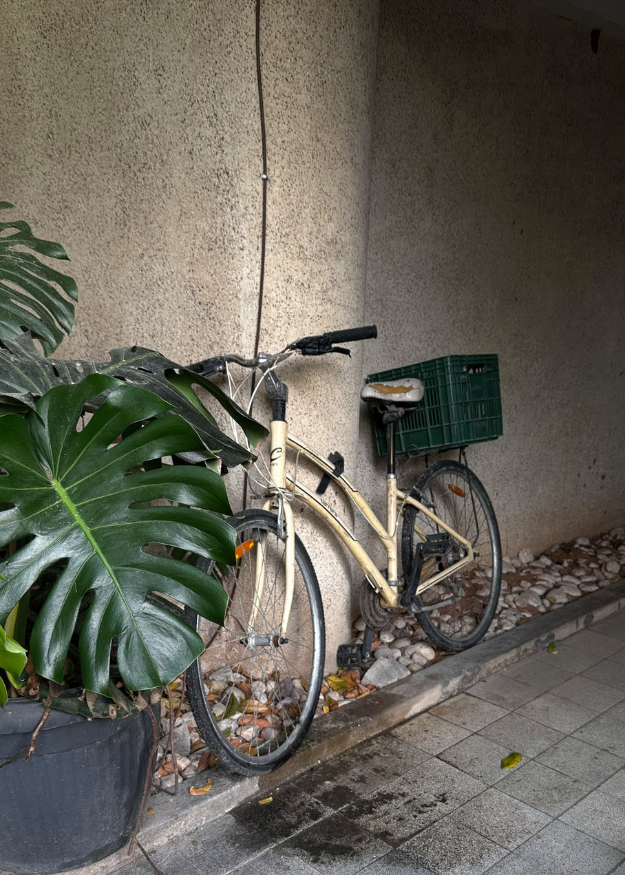 Tnuva Green Box on a bicycle