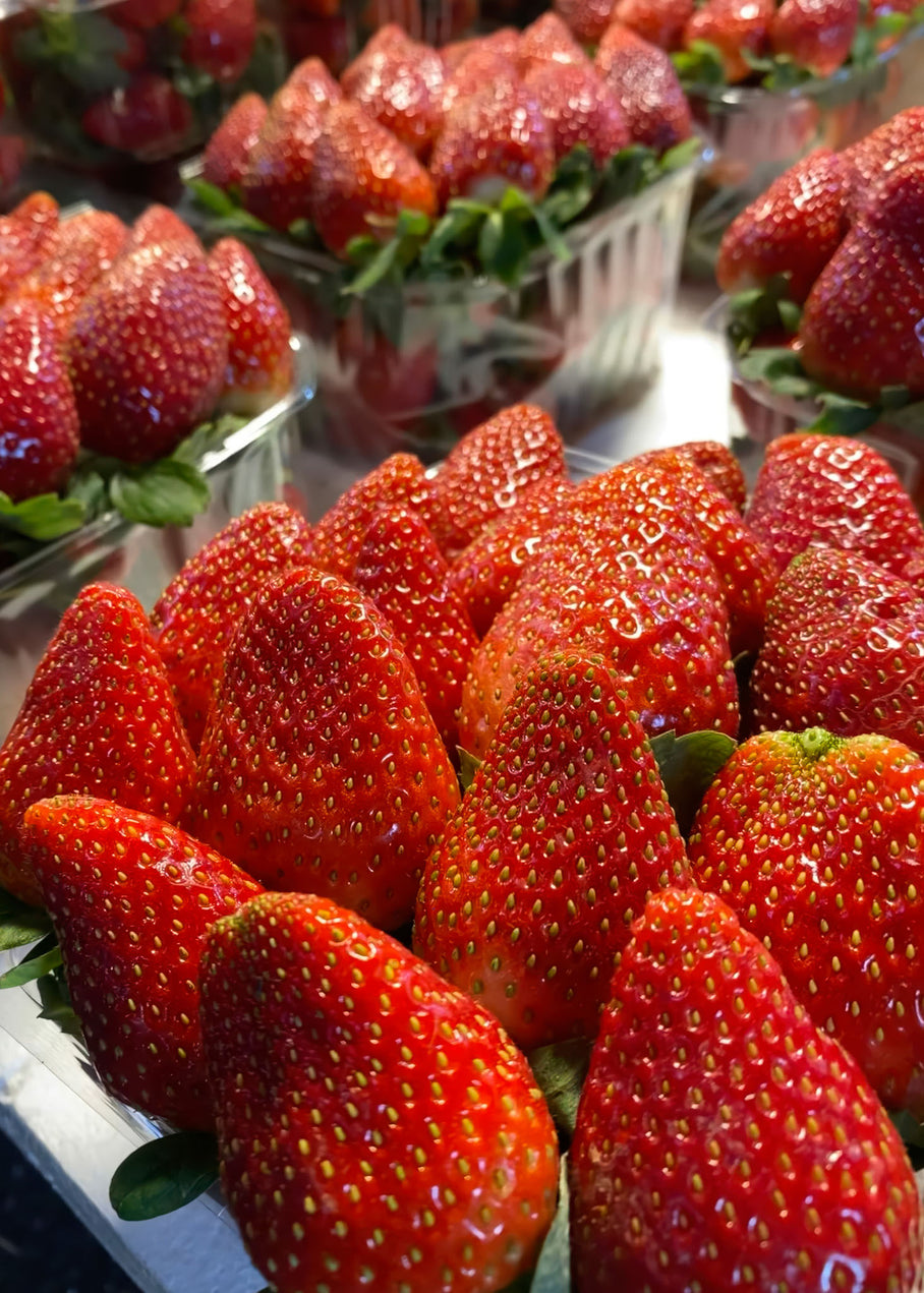 Strawberries at Carmel Market — Tel Aviv Photo Print — Israel Wall Art