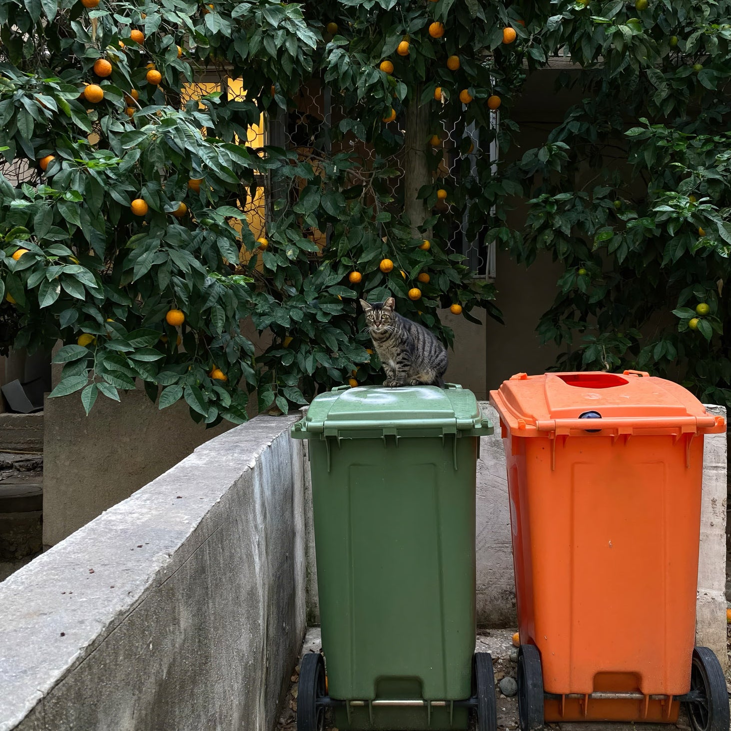 Garbage Boxes — Tel Aviv Photography Print