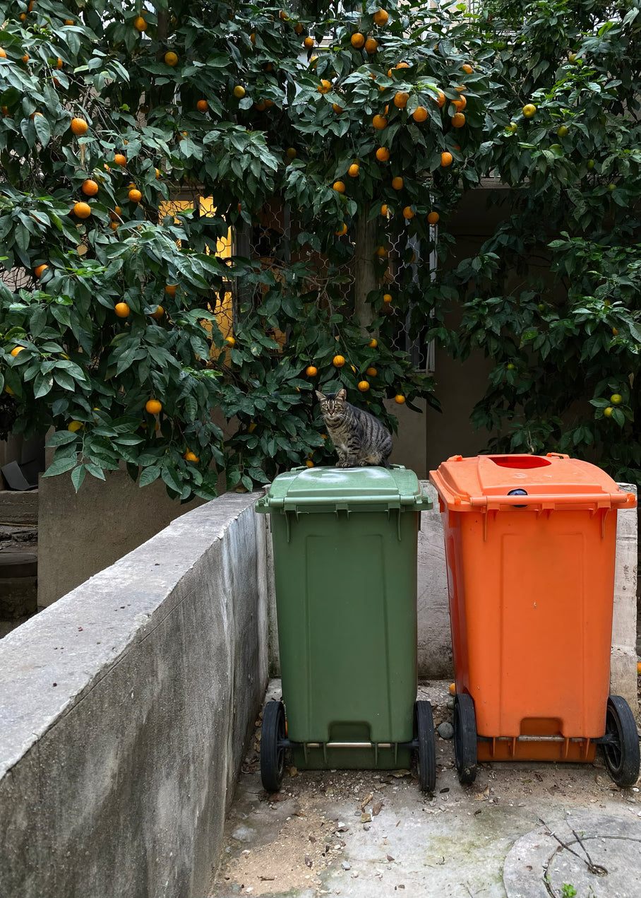 Garbage Boxes — Tel Aviv Photography Print