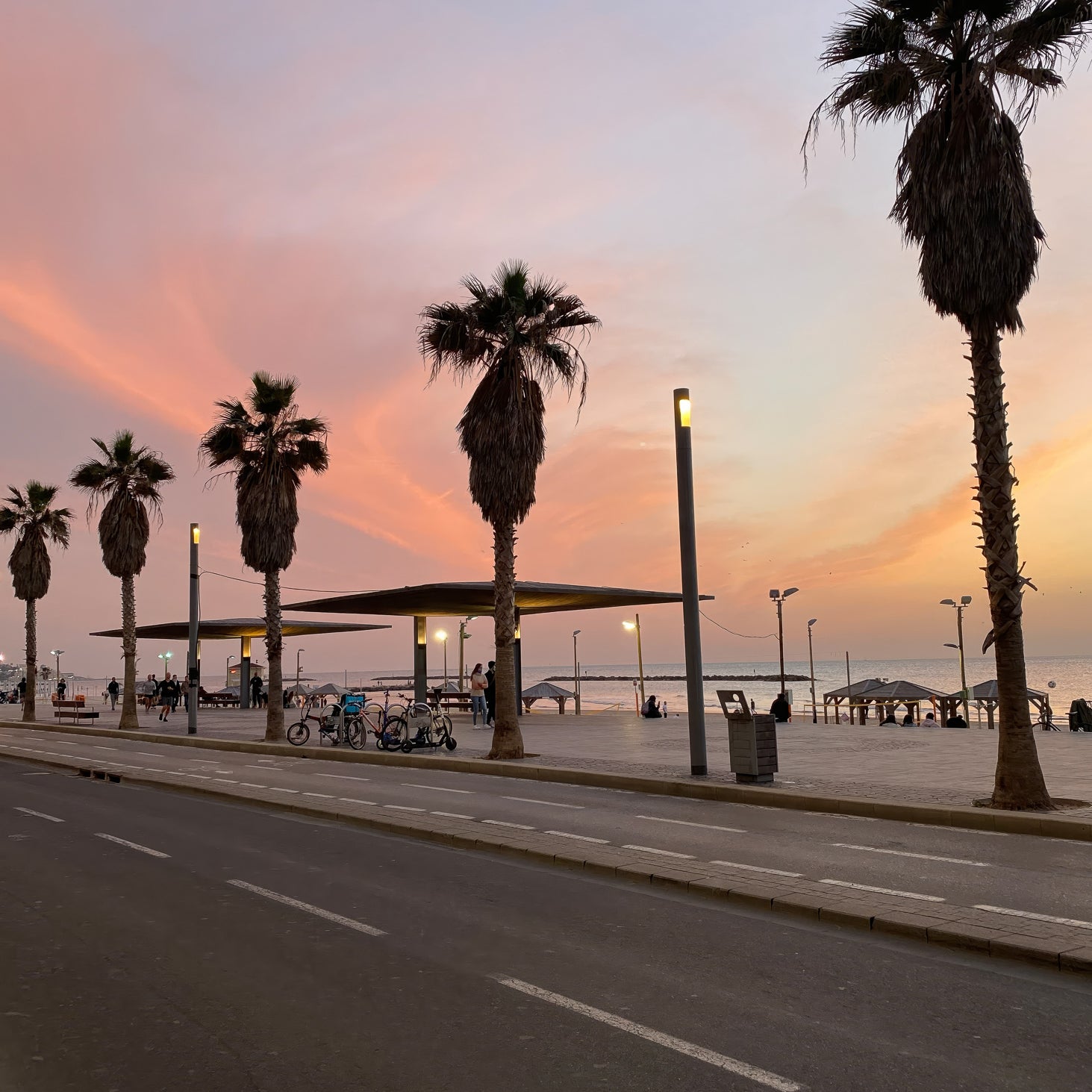 Sunset Sky of Tel Aviv showcasing palm trees along the beach at dusk, perfect for Israel Wall Art.