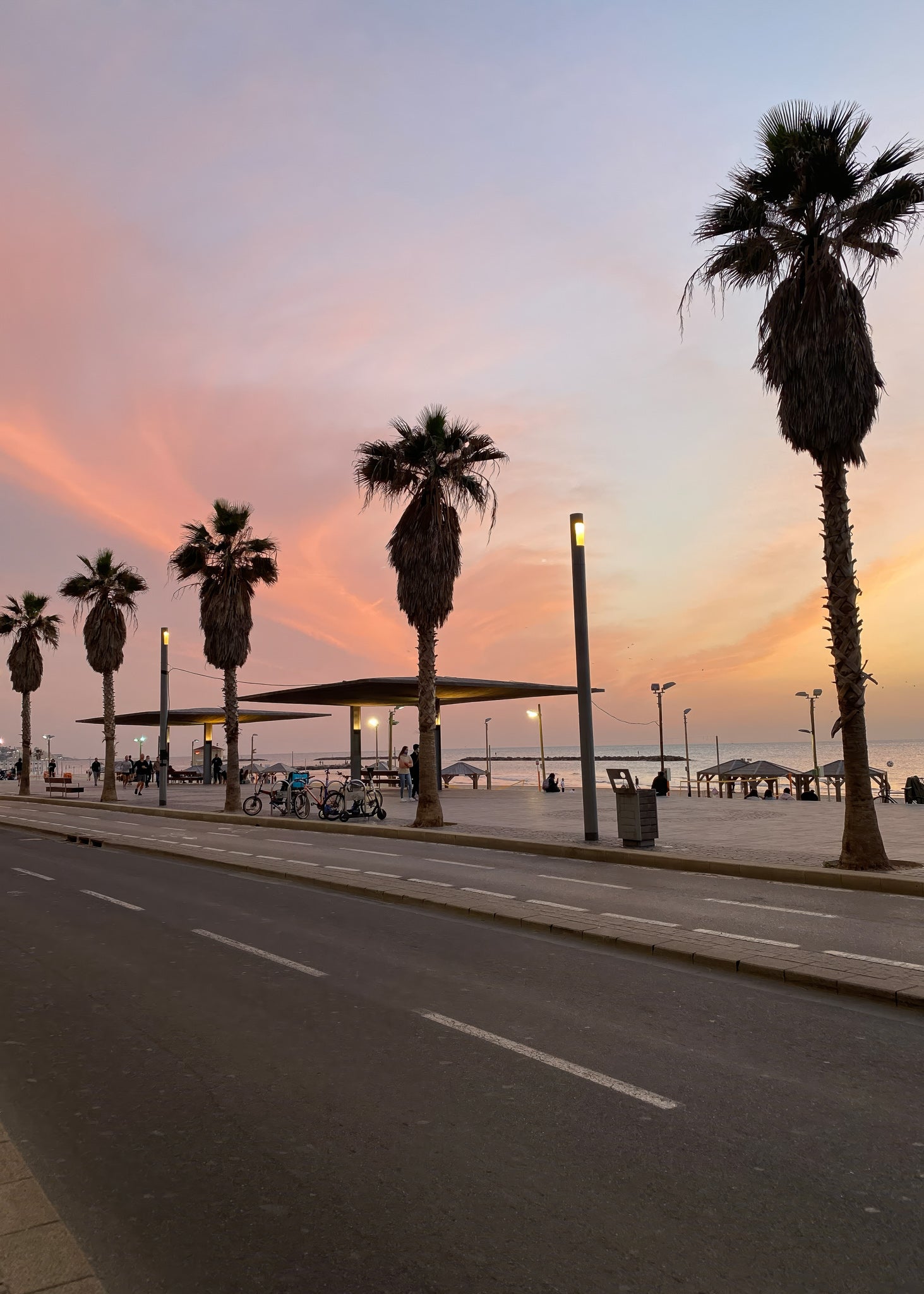Printed Poster of Tel Aviv at golden hour with palm trees and street view.