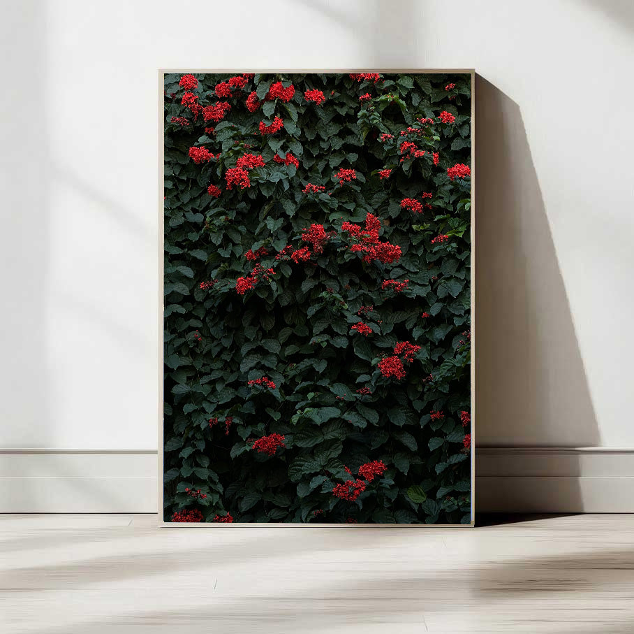 Neve Tzedek Wall — Tel Aviv Photography Print — Israel Wall Art