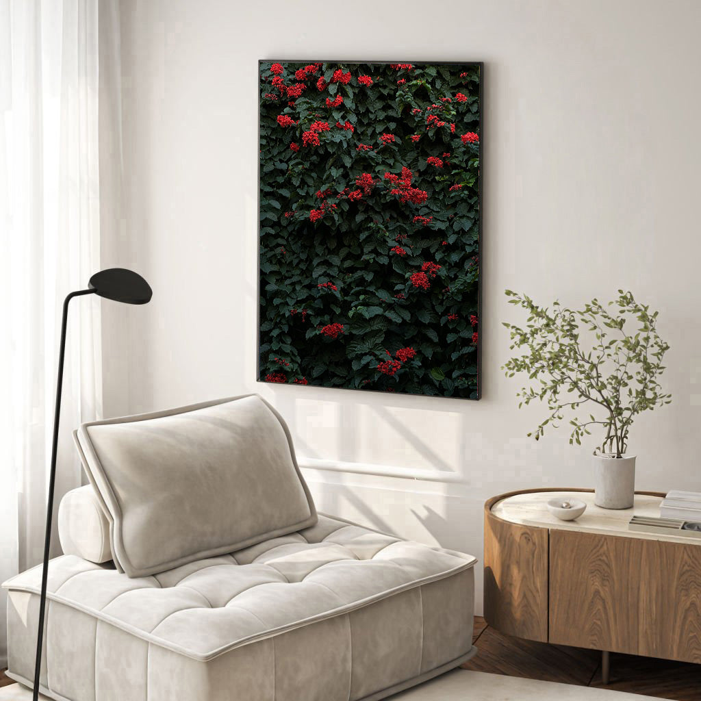 Neve Tzedek Wall — Tel Aviv Photography Print — Israel Wall Art