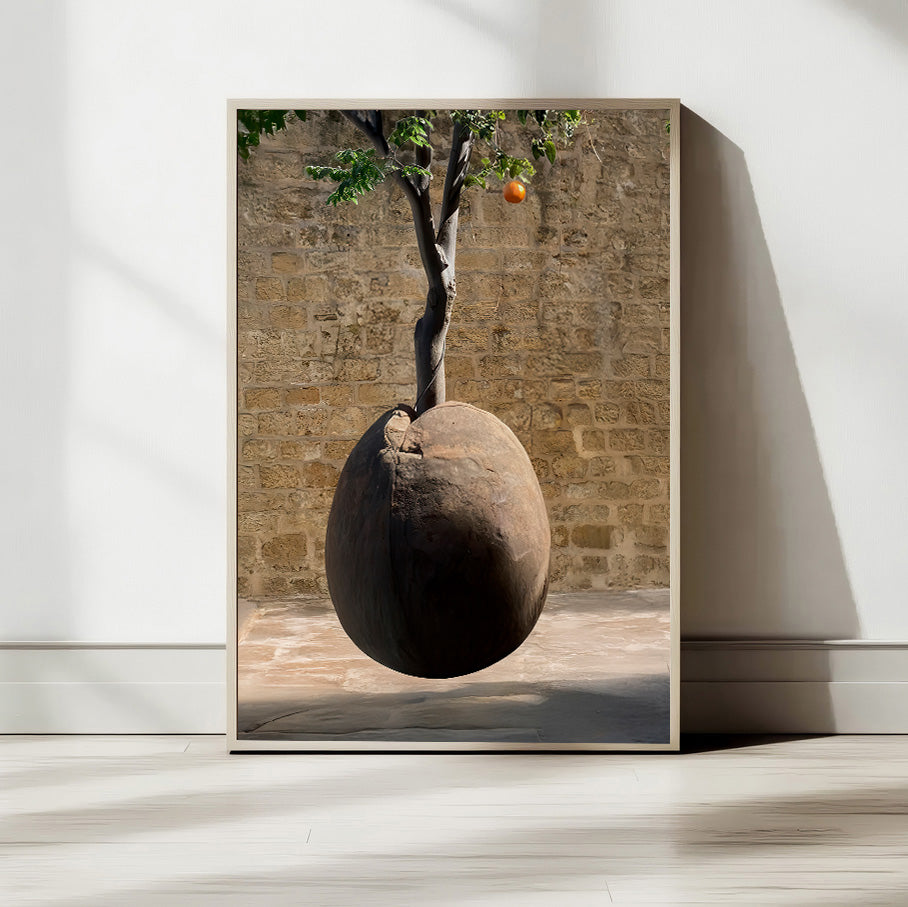 Jaffa Orange Tree — Tel Aviv Photo Print — Israel Wall Art