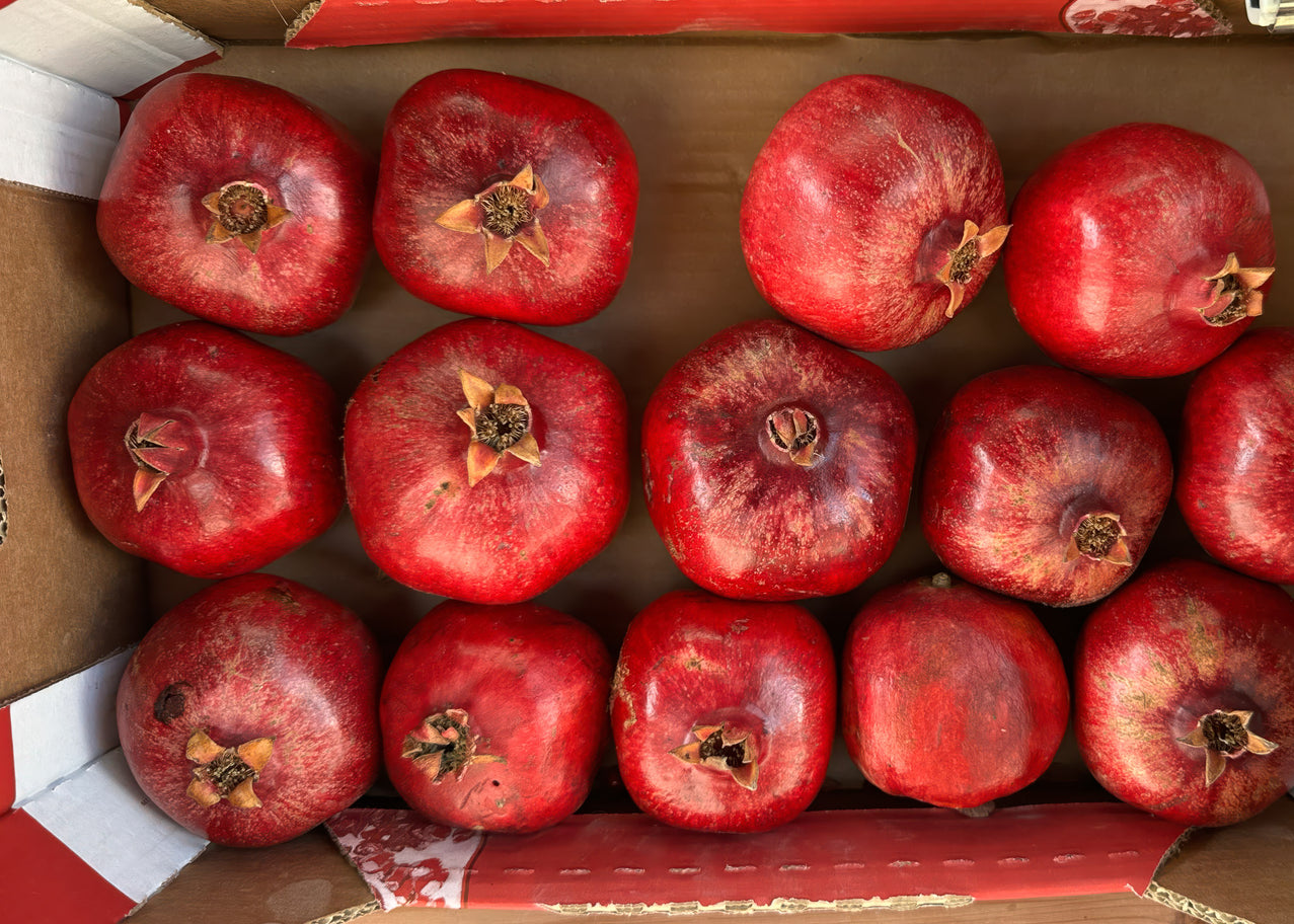 Red Pomegranates — Tel Aviv Photography Print — Israel Wall Art