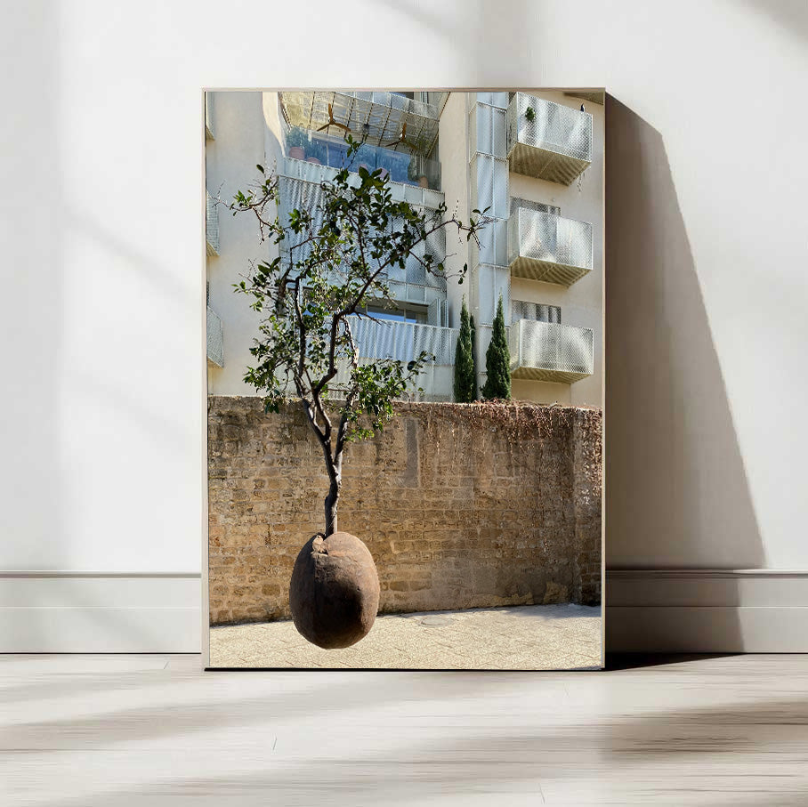 Suspended Orange Tree in Jaffa, Israel, showcasing a surreal sculpture blending nature and architecture.