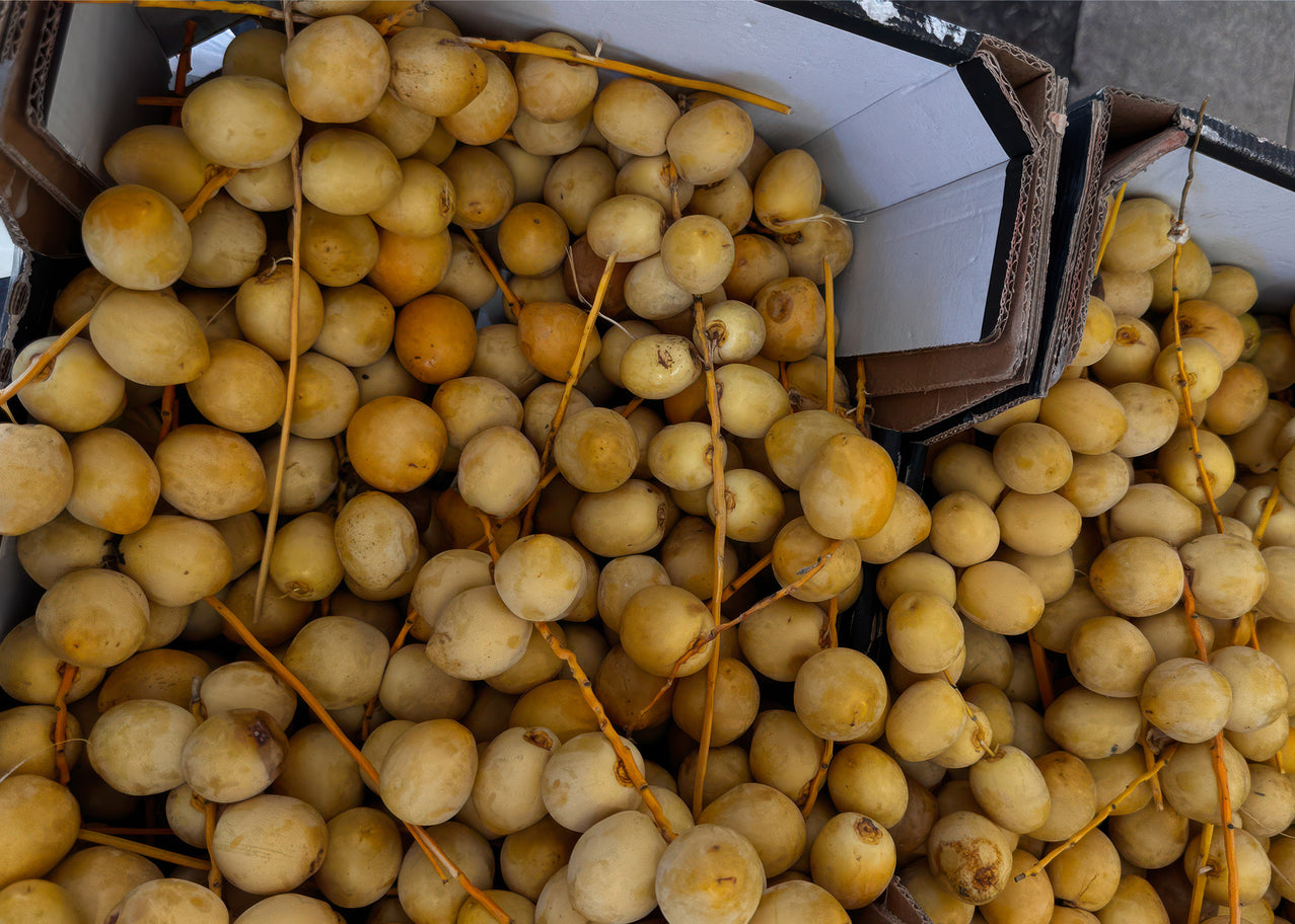 Fresh Yellow Dates — Tel Aviv Photography Print — Israel Wall Art