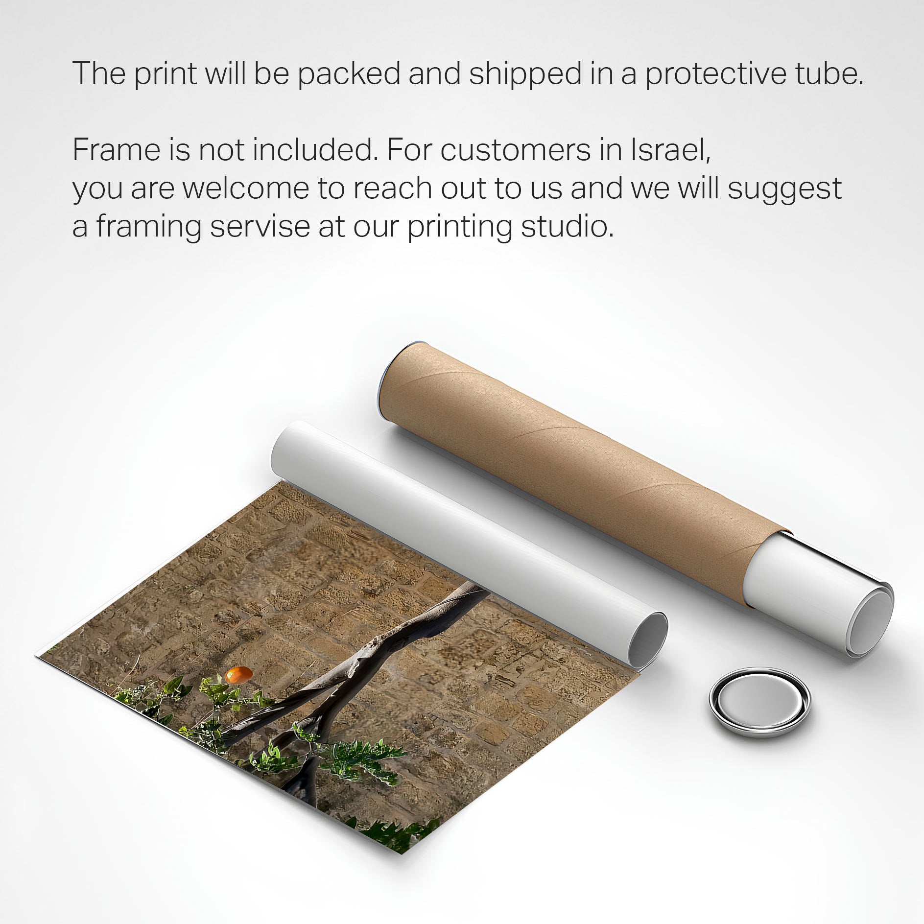 Printed poster - Orange Tree