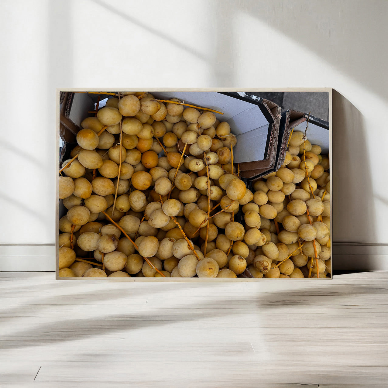 Printed poster - Tamar