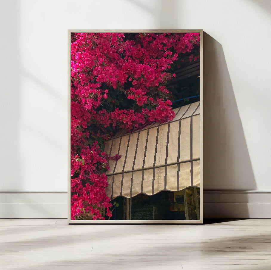 Cafe Levinski photography print featuring vibrant pink bougainvillea and a striped awning in Tel Aviv.