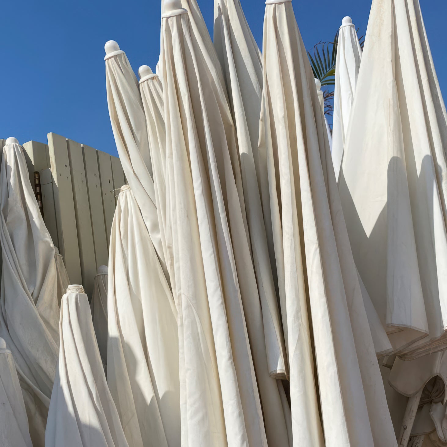 Beach Cafe Umbrellas — Tel Aviv Photography Print — Israel Wall Art