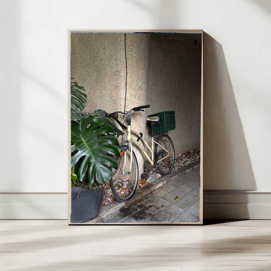 Tnuva Green Box on a bicycle