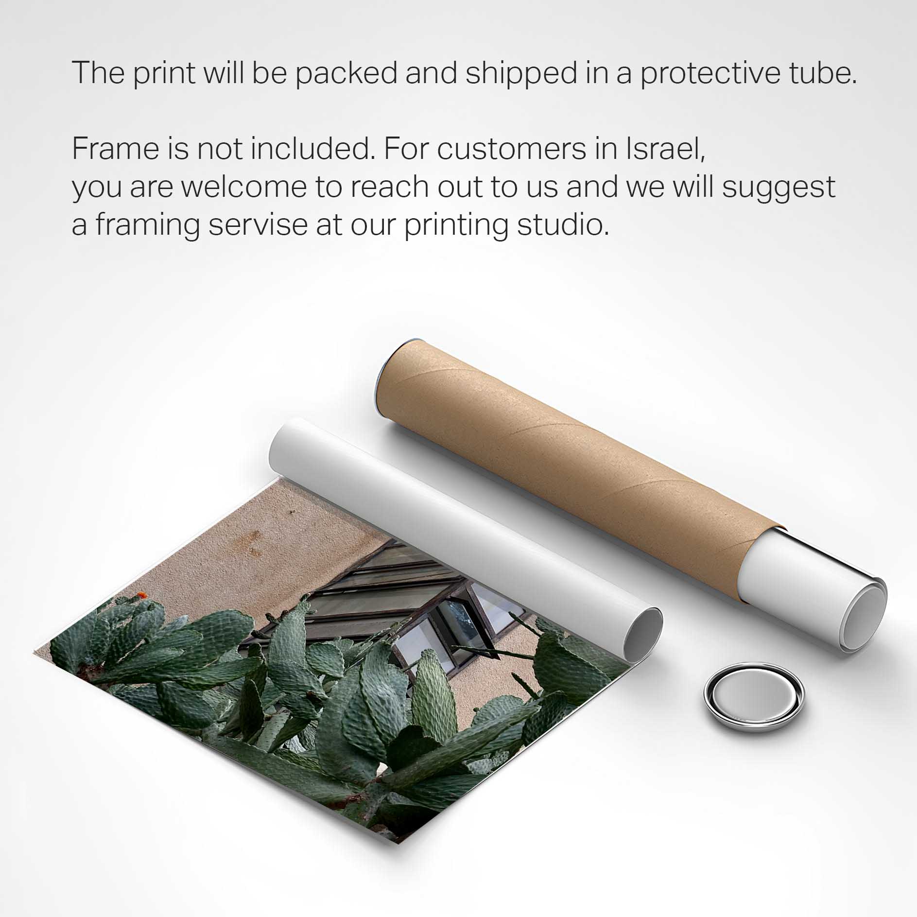 Printed poster - Cactus