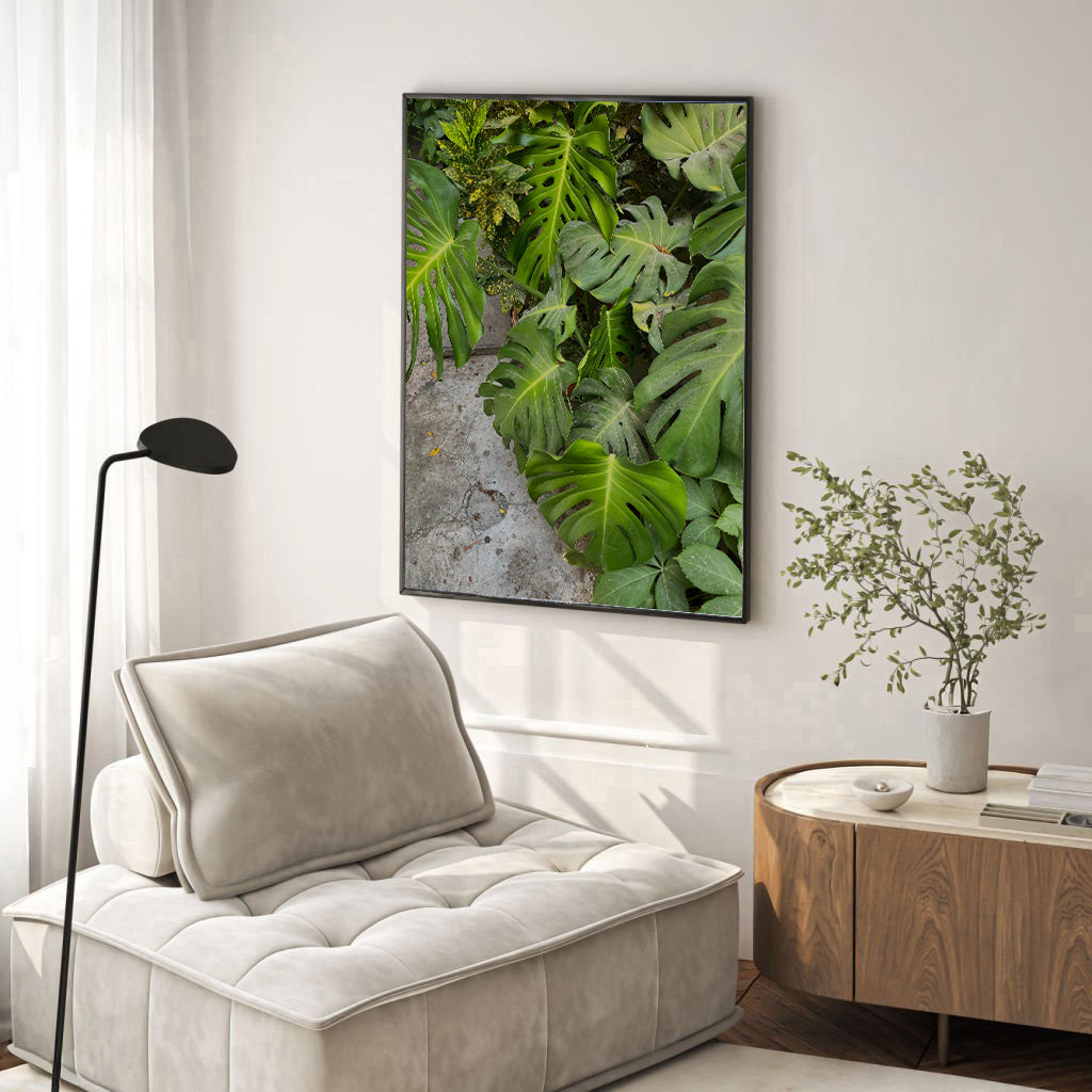 Monstera Plant — Tel Aviv Photography Print — Israel Wall Art